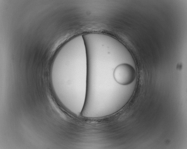 X0000111130634200906301106