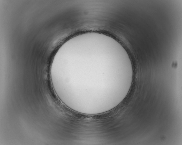 X0000111130635200906301106