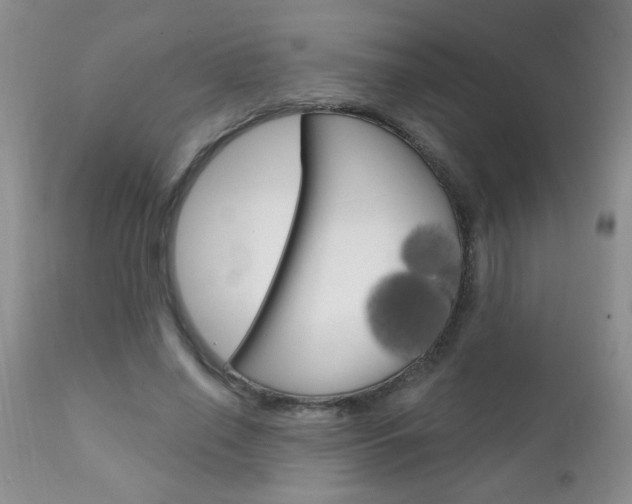X0000111130638200906301106
