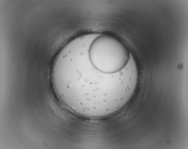 X0000111130639200906301106