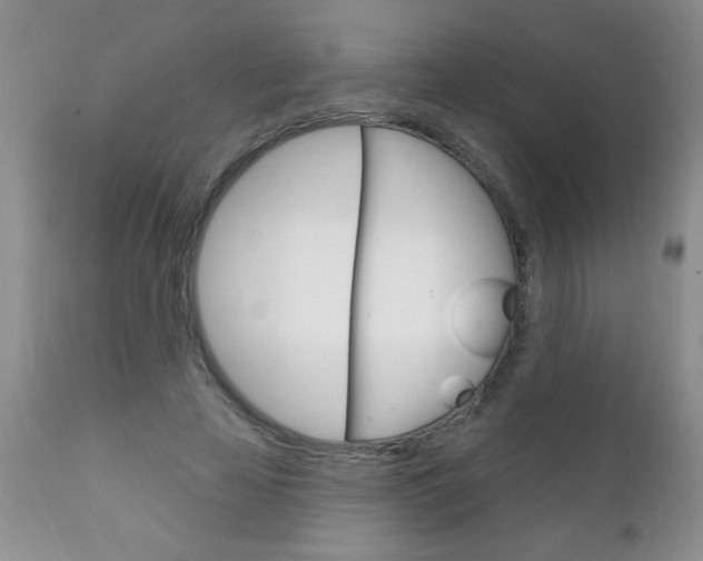 X0000111130641200906301106