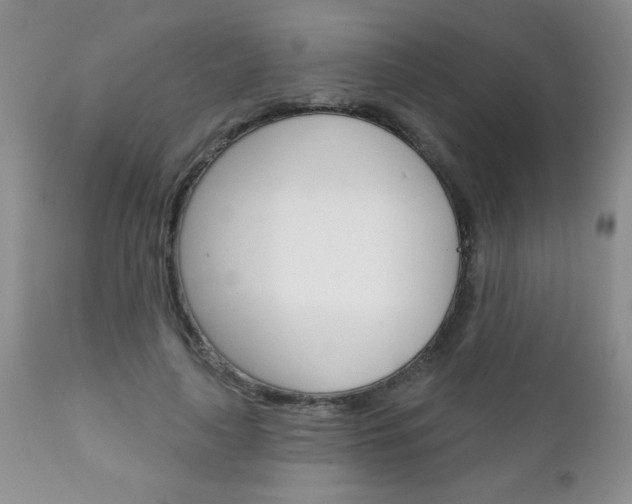 X0000111130643200906301106