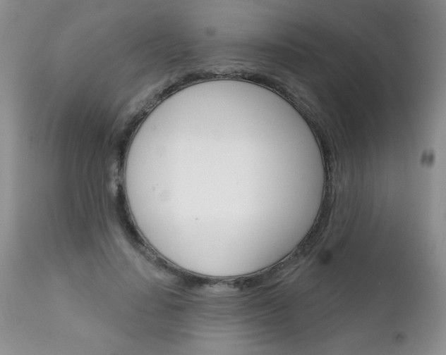 X0000111130644200906301106