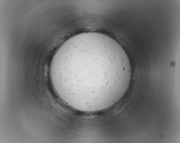 X0000111130646200906301106