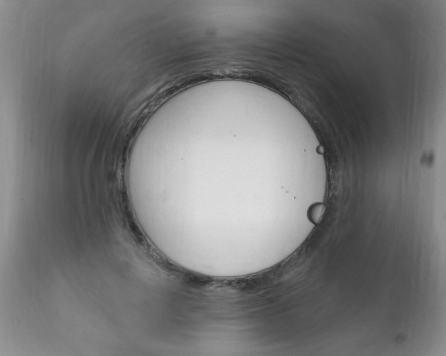 X0000111130648200906301106