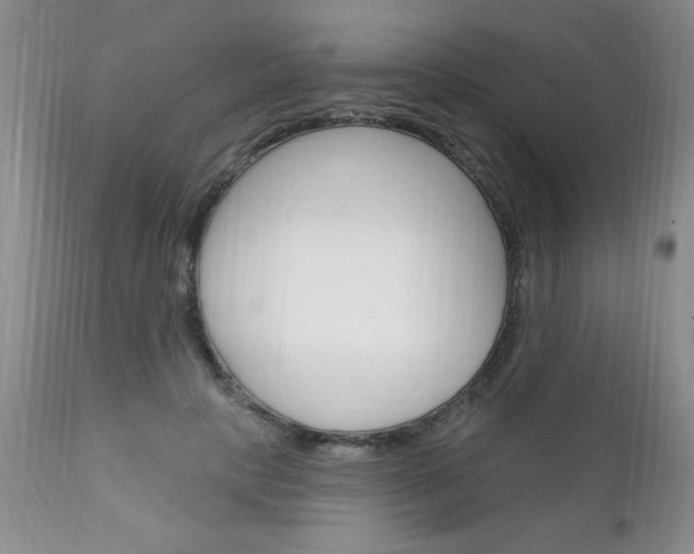 X0000111130649200906301106