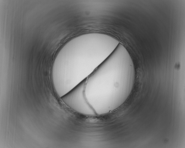 X0000111130650200906301106