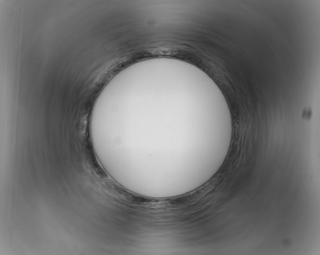 X0000111130652200906301106