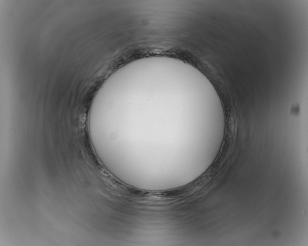 X0000111130657200906301106