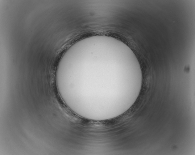 X0000111130658200906301106