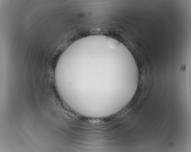 X0000111130659200906301106