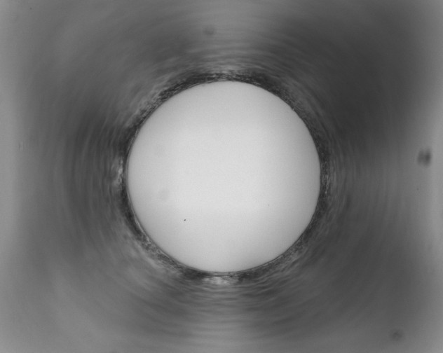 X0000111130660200906301106