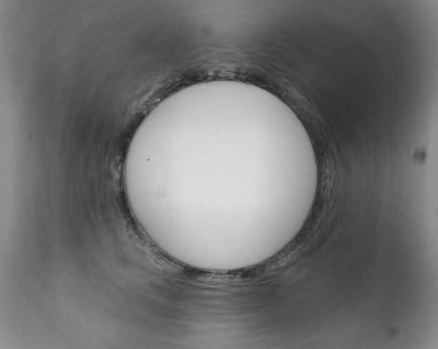X0000111130661200906301106