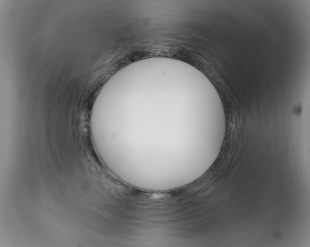 X0000111130663200906301106