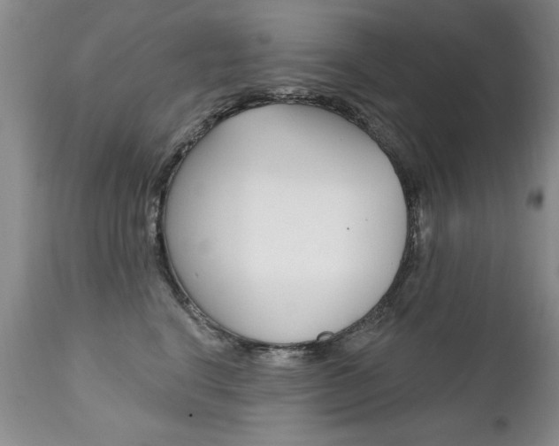 X0000111130664200906301106