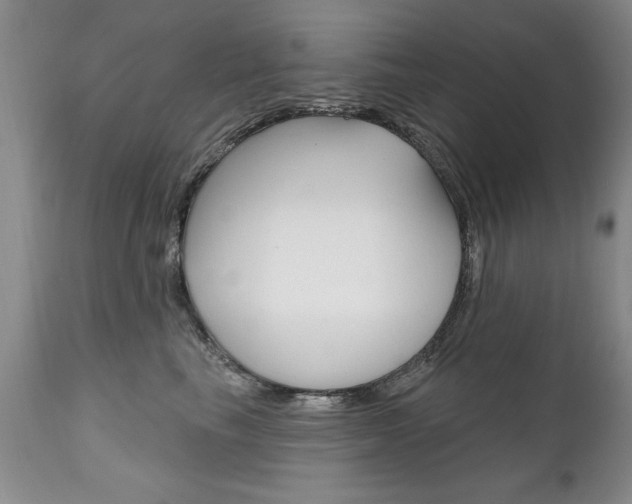 X0000111130665200906301106