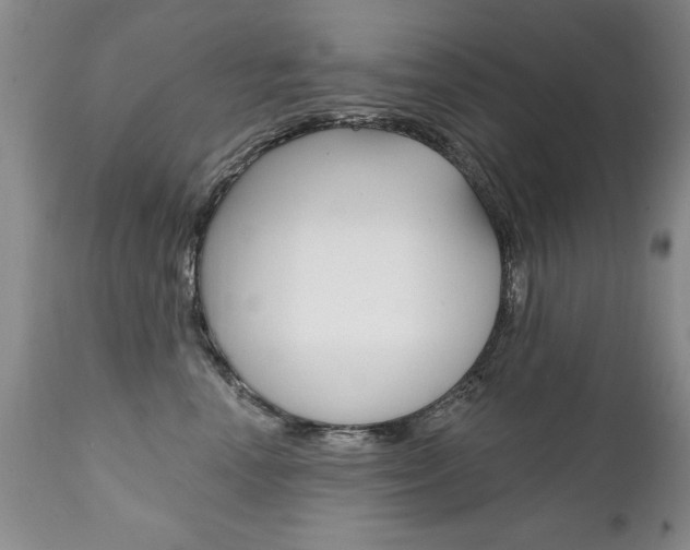 X0000111130666200906301106