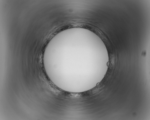 X0000111130667200906301106