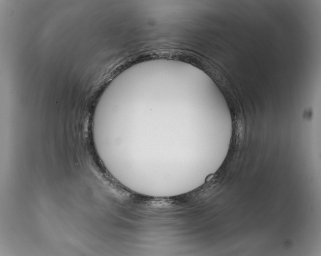 X0000111130668200906301106