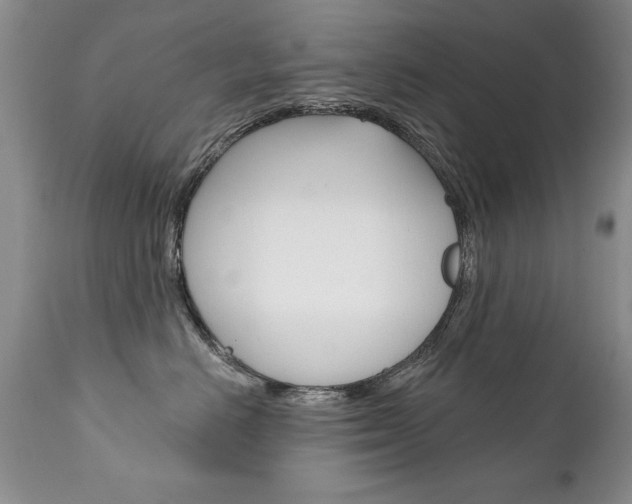 X0000111130670200906301106