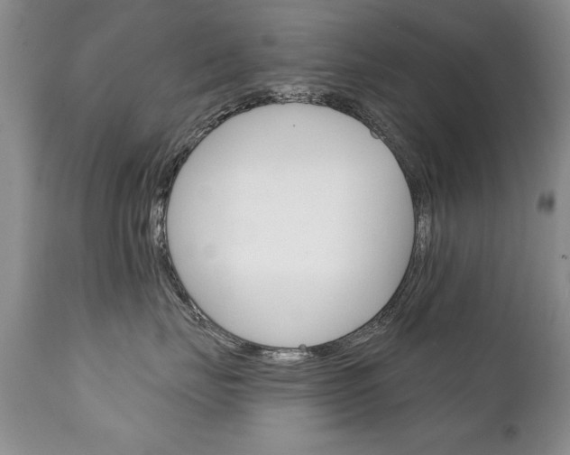 X0000111130671200906301106