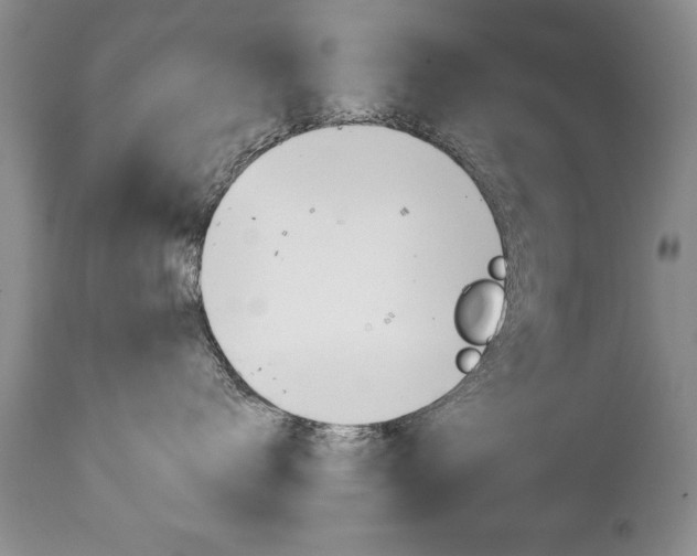 X0000111130672200906301107