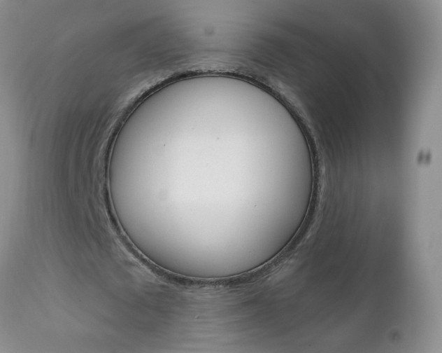 X0000111130673200906301105