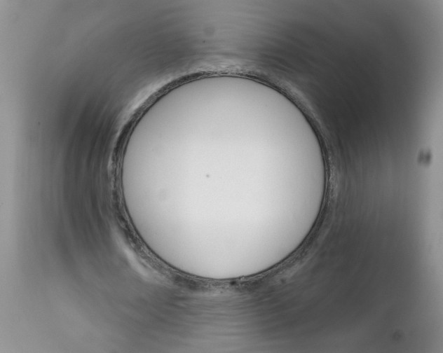 X0000111130674200906301105