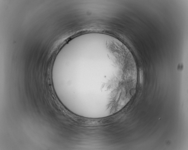 X0000111130675200906301105