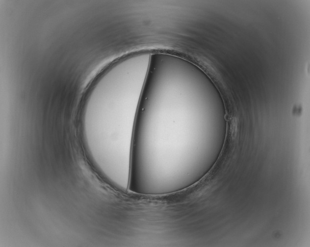 X0000111130676200906301105