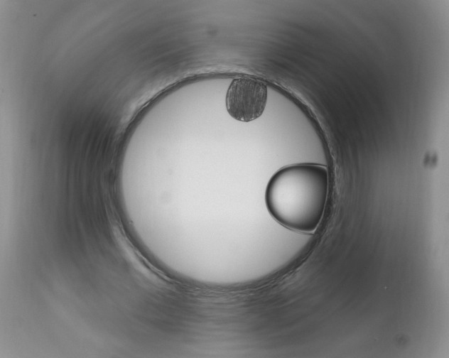 X0000111130677200906301105