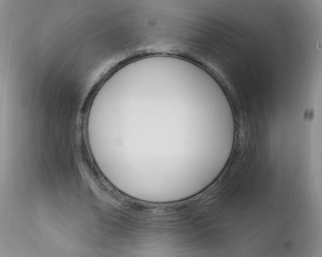 X0000111130678200906301105