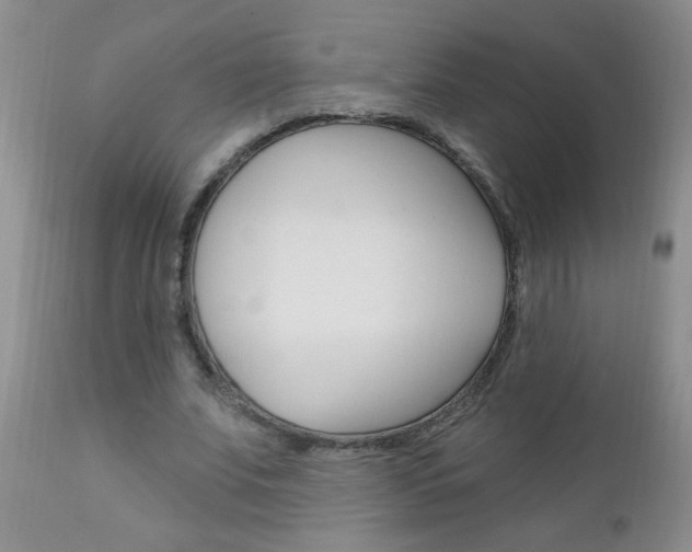 X0000111130679200906301105