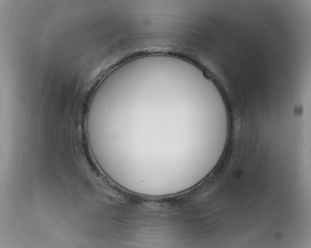 X0000111130681200906301105