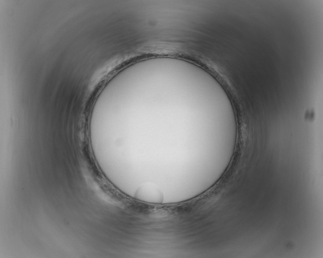 X0000111130682200906301105