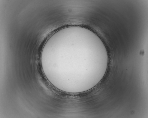 X0000111130683200906301105