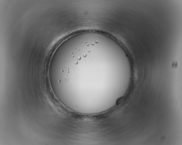 X0000111130684200906301105