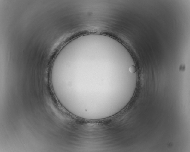 X0000111130686200906301105