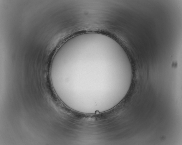 X0000111130687200906301105