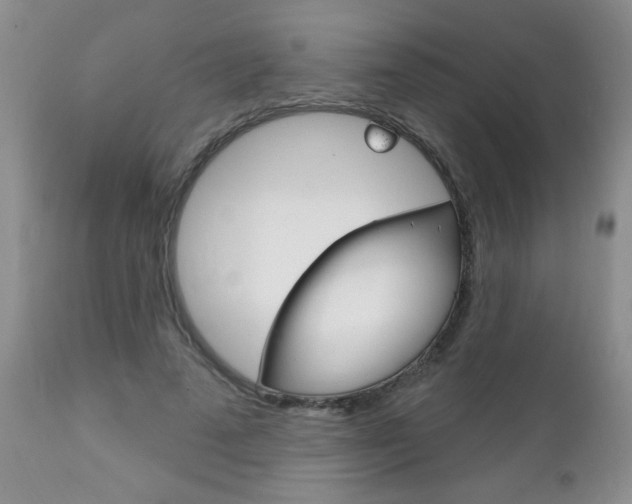 X0000111130689200906301105
