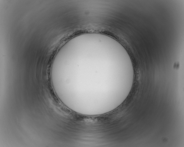 X0000111130690200906301105