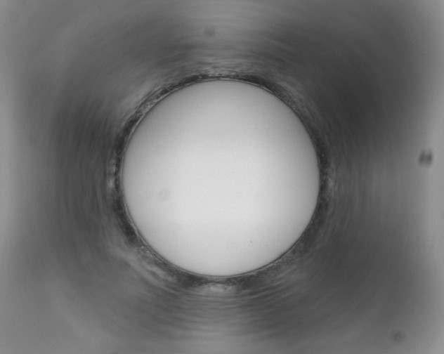 X0000111130691200906301105