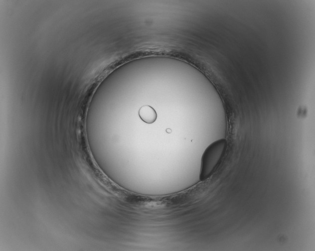 X0000111130692200906301105