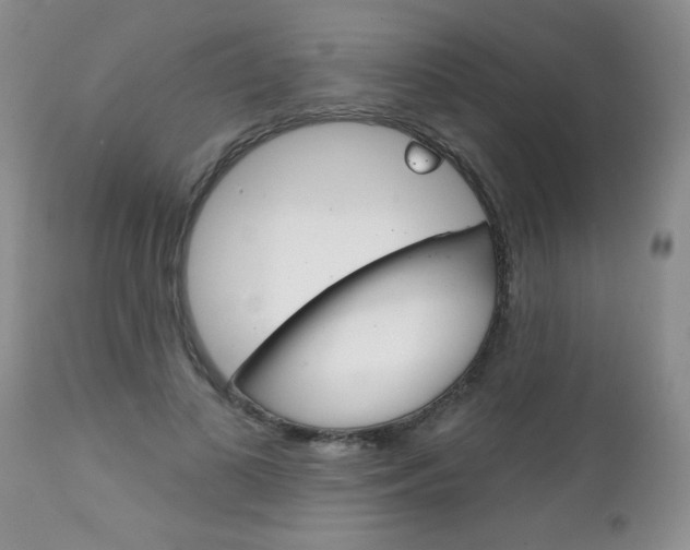 X0000111130693200906301105