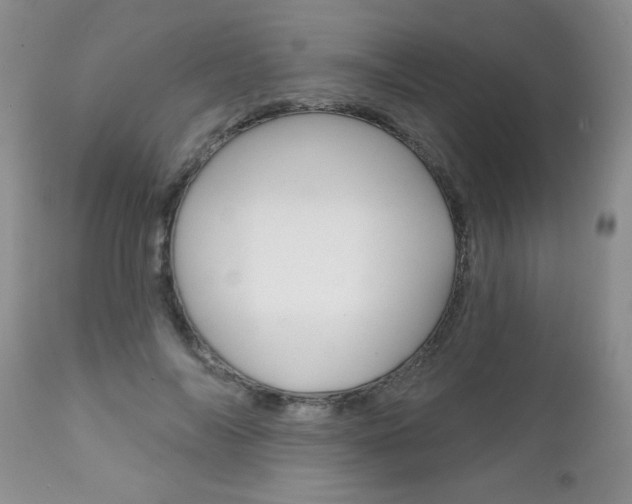 X0000111130694200906301105