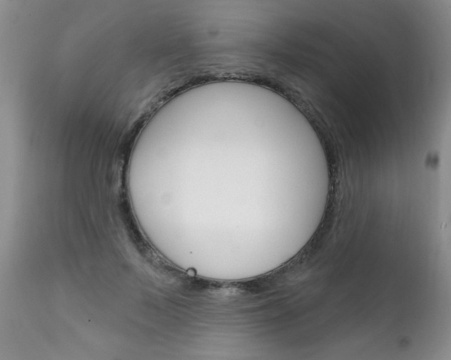 X0000111130695200906301105