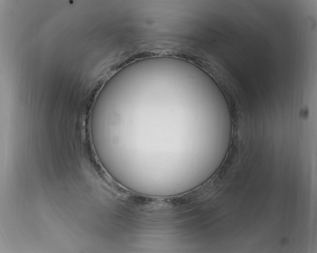 X0000111130696200906301105