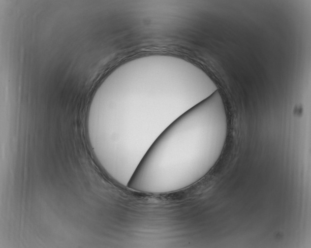 X0000111130697200906301105