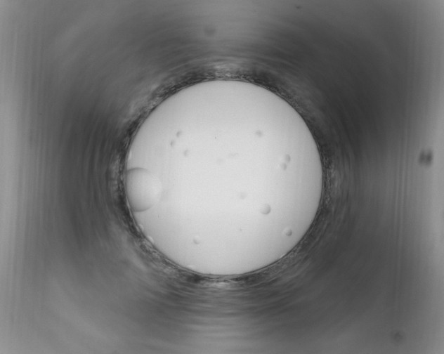 X0000111130698200906301105