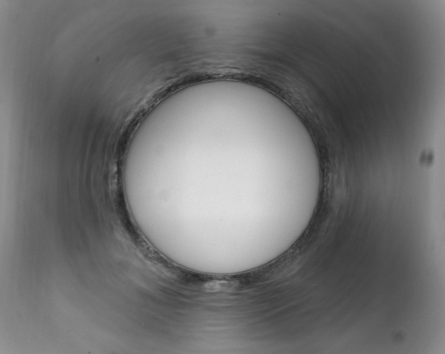 X0000111130700200906301105